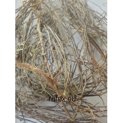 Chanca Piedra Ziele Phyllanthus Niruri 100 G